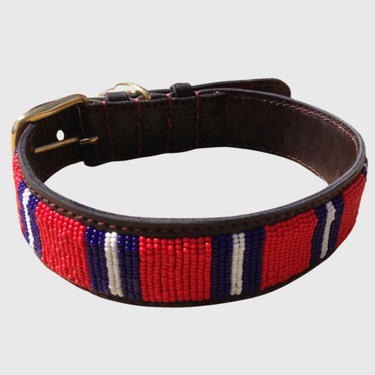 Handcrafted Maasai Dog Collar -  Red Blue Stripes