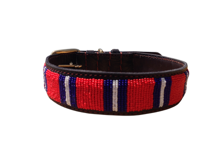Handcrafted Maasai Dog Collar -  Red Blue Stripes