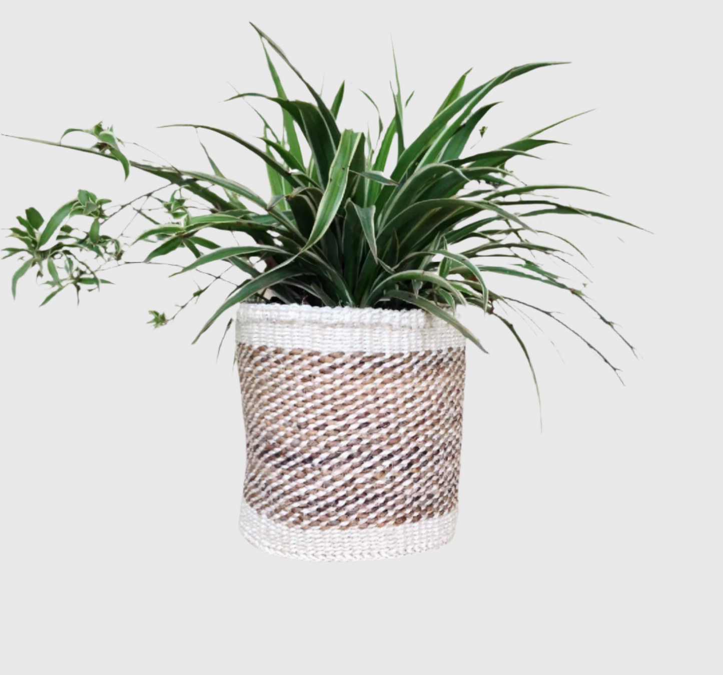 Sisal Storage Planter 8 in /20.3 cm Beige