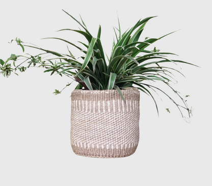 Sisal Storage Planter 8 in /20.3 cm