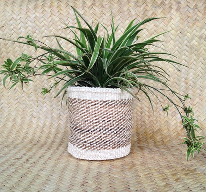 Sisal Storage Planter 8 in /20.3 cm Beige