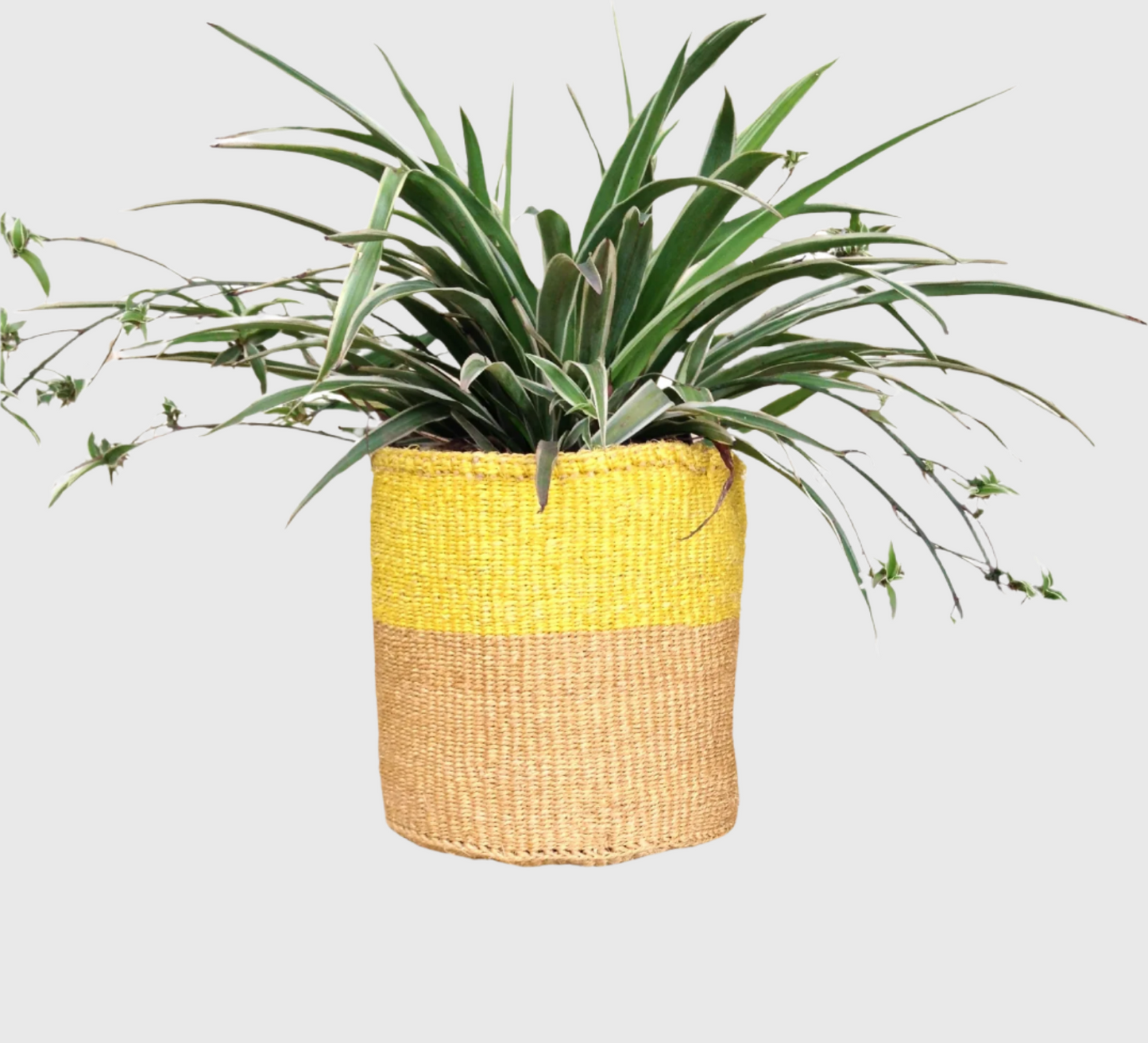 Sisal Storage Planter 8 in /20.3 cm Brown Yellow