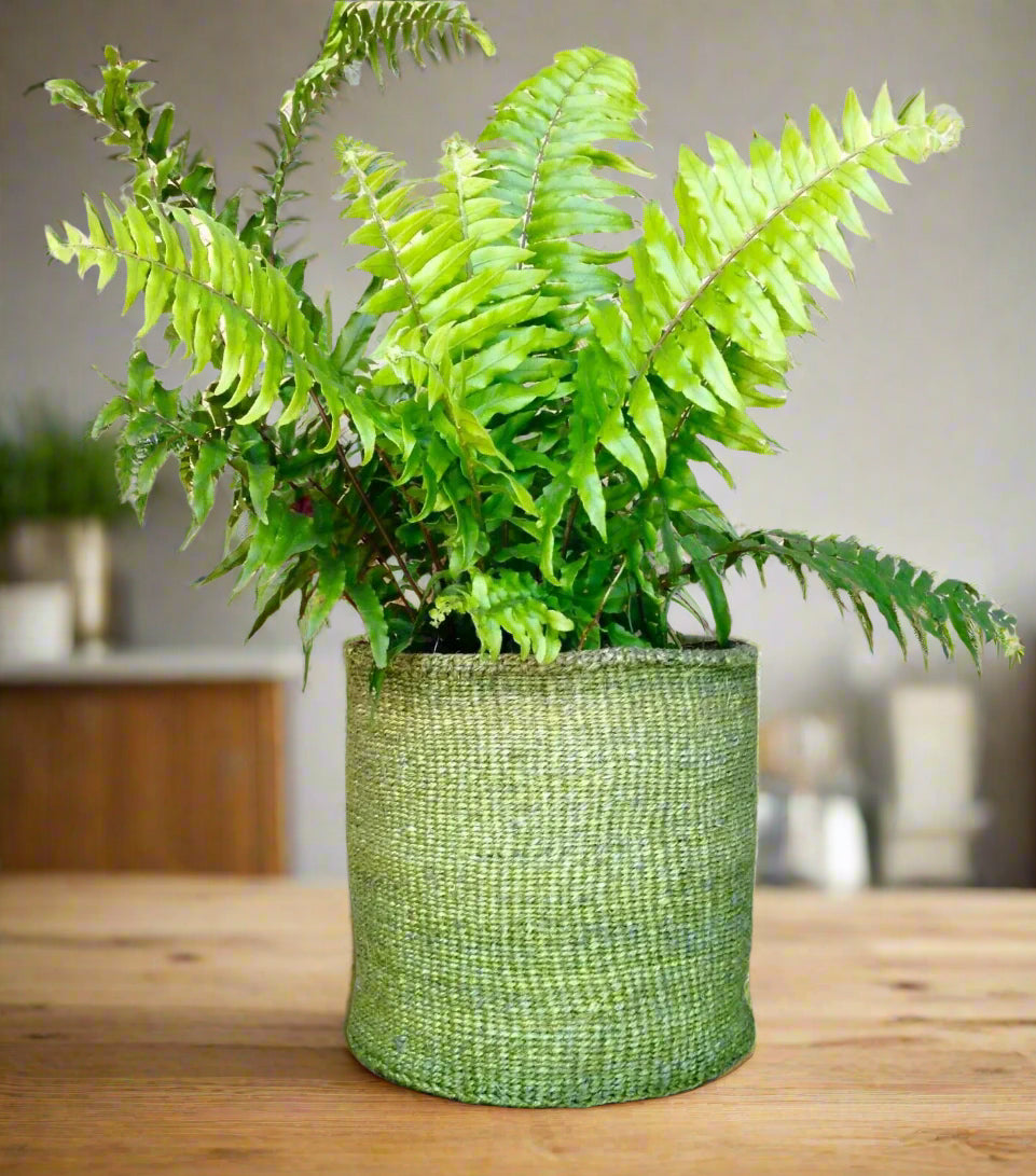Sisal Storage Planter 10 in/25.4 cm Green