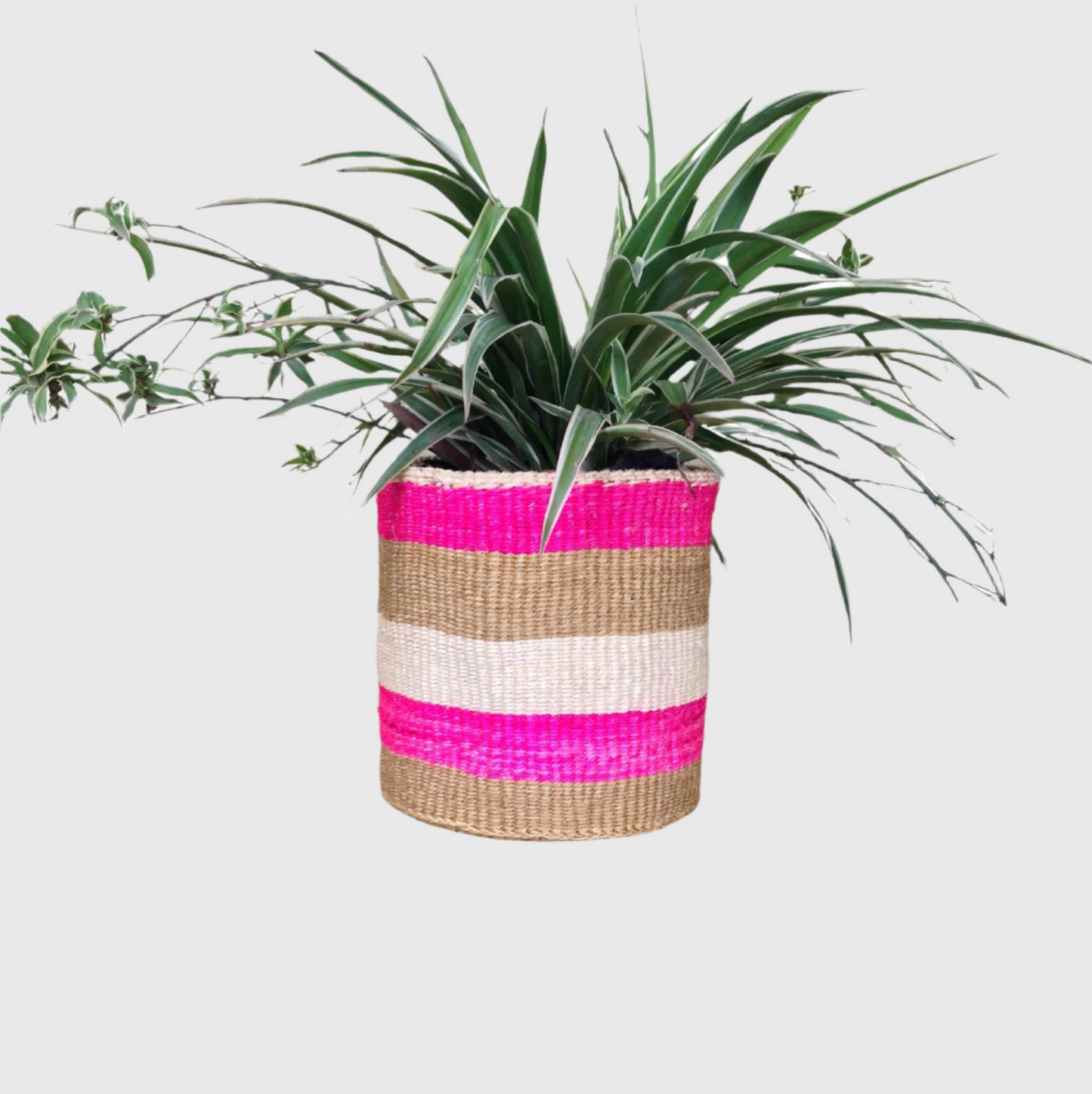 Sisal Storage Planter 8 in /20.3 cm Pink