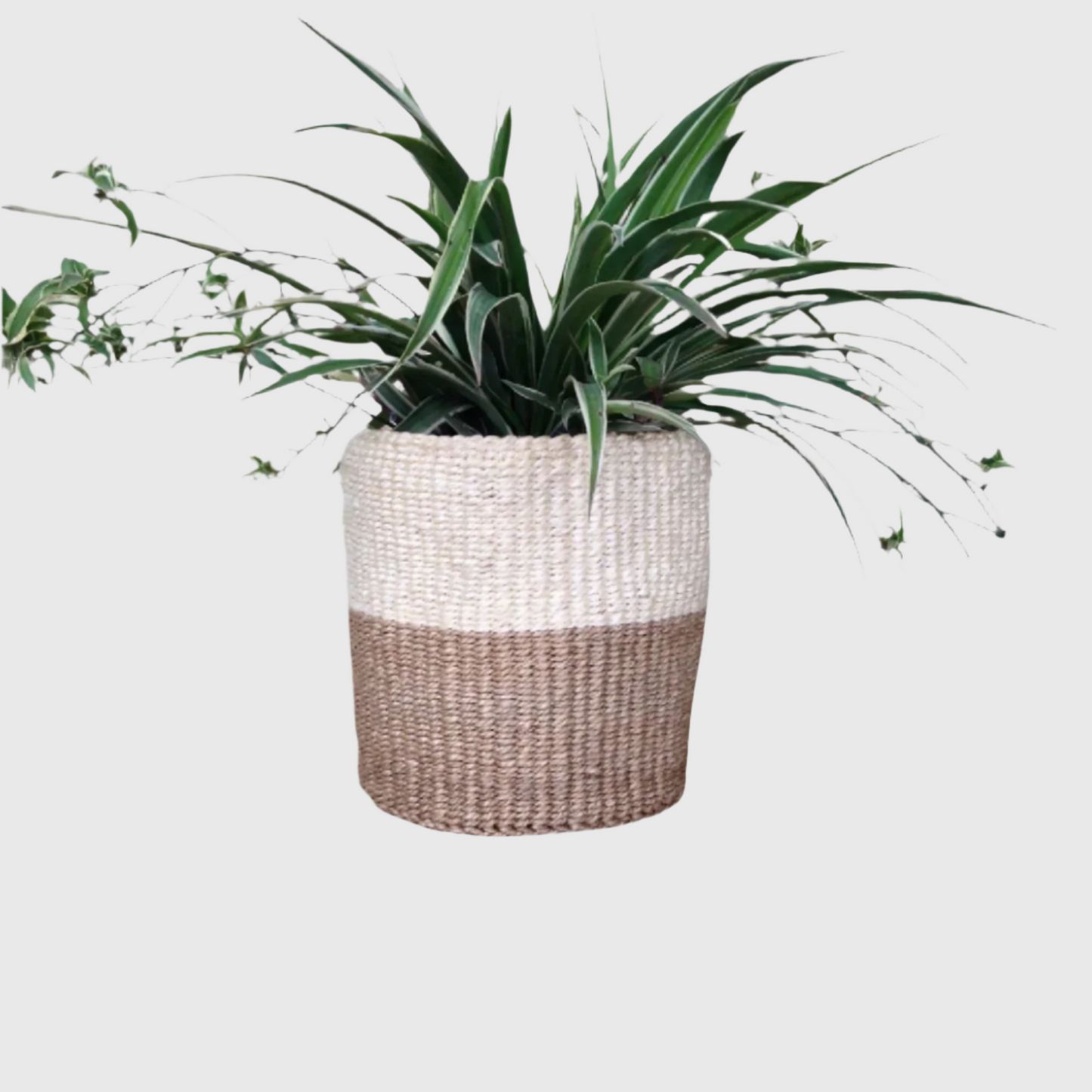 Sisal Storage Planter 8 in /20.3 cm Beige Cream