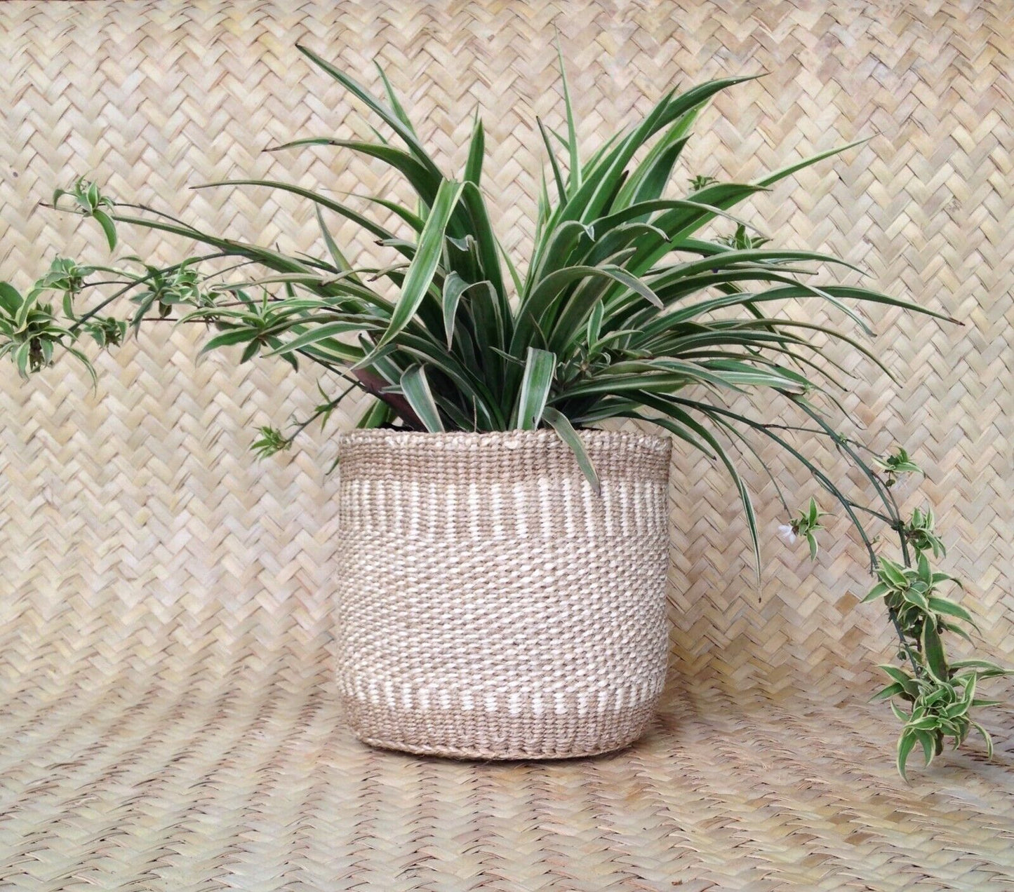 Sisal Storage Planter 8 in /20.3 cm