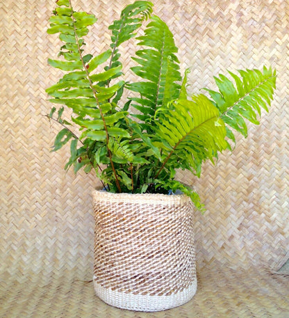 Sisal Storage Planter 10 in/25.4 cm Beige