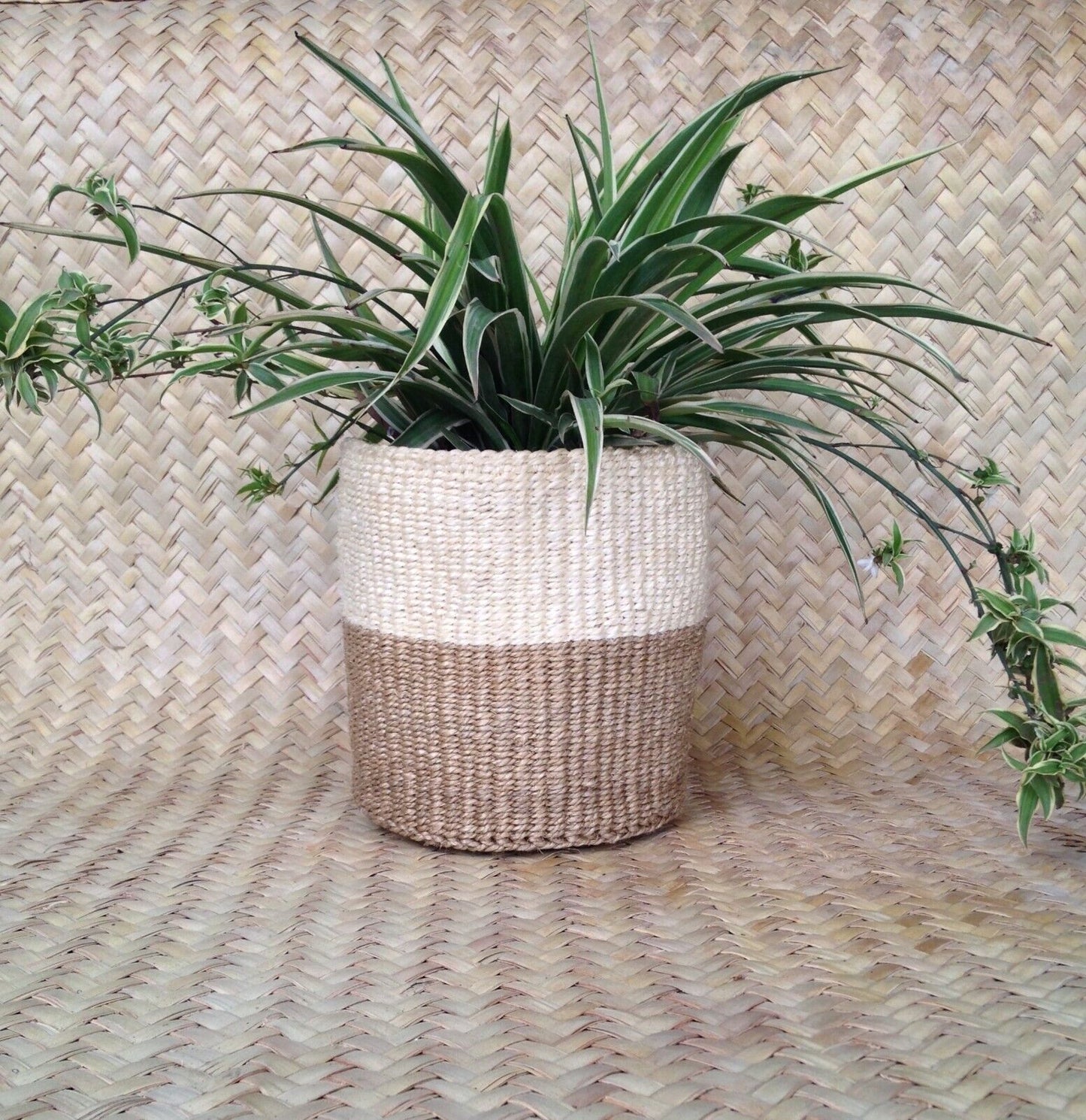 Sisal Storage Planter 8 in /20.3 cm Beige Cream