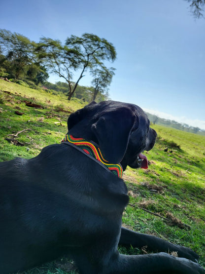 Handcrafted Maasai Dog Collar - Colorful Waves
