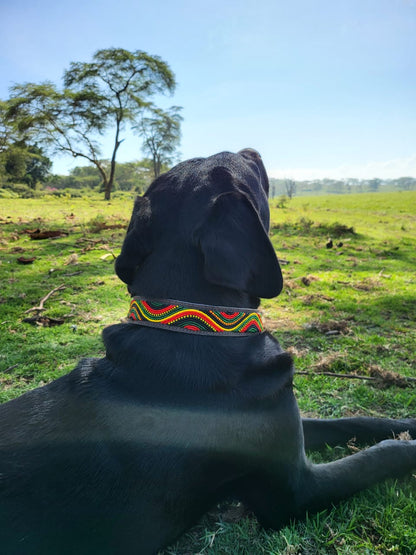 Handcrafted Maasai Dog Collar - Colorful Waves