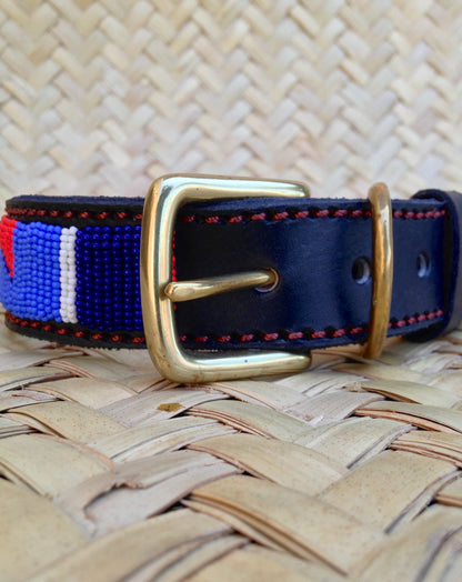Handcrafted Maasai Dog Collar - Blue Red Geometric