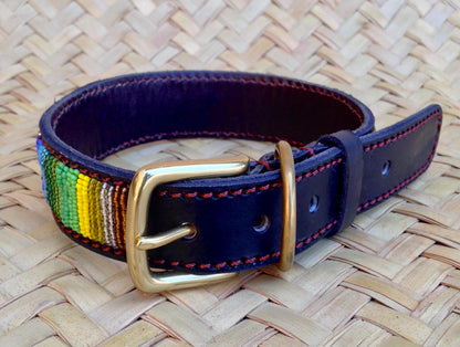 Handcrafted Maasai Dog Collar - Rainbow Stripes