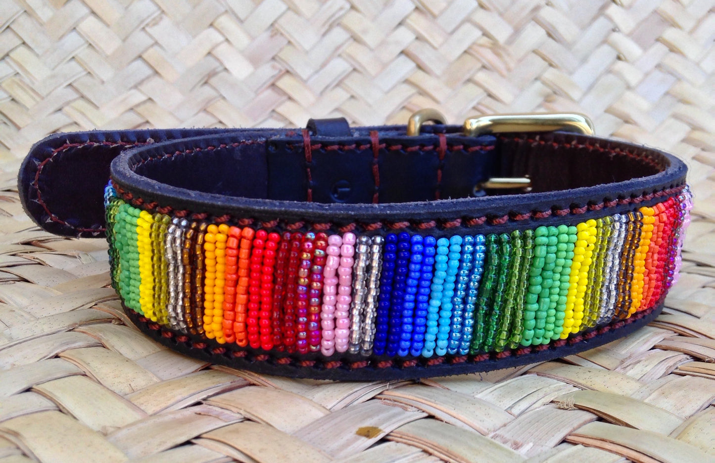 Handcrafted Maasai Dog Collar - Rainbow Stripes