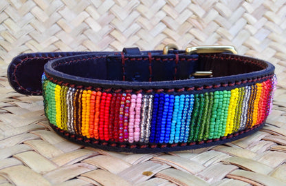 Handcrafted Maasai Dog Collar - Rainbow Stripes