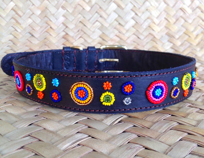 Handcrafted Maasai Dog Collar - Colorful Circles