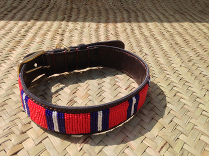 Handcrafted Maasai Dog Collar -  Red Blue Stripes