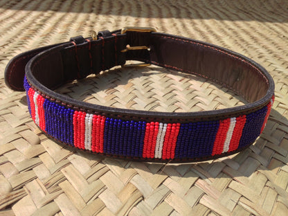 Handcrafted Maasai Dog Collar - Blue Red Stripes