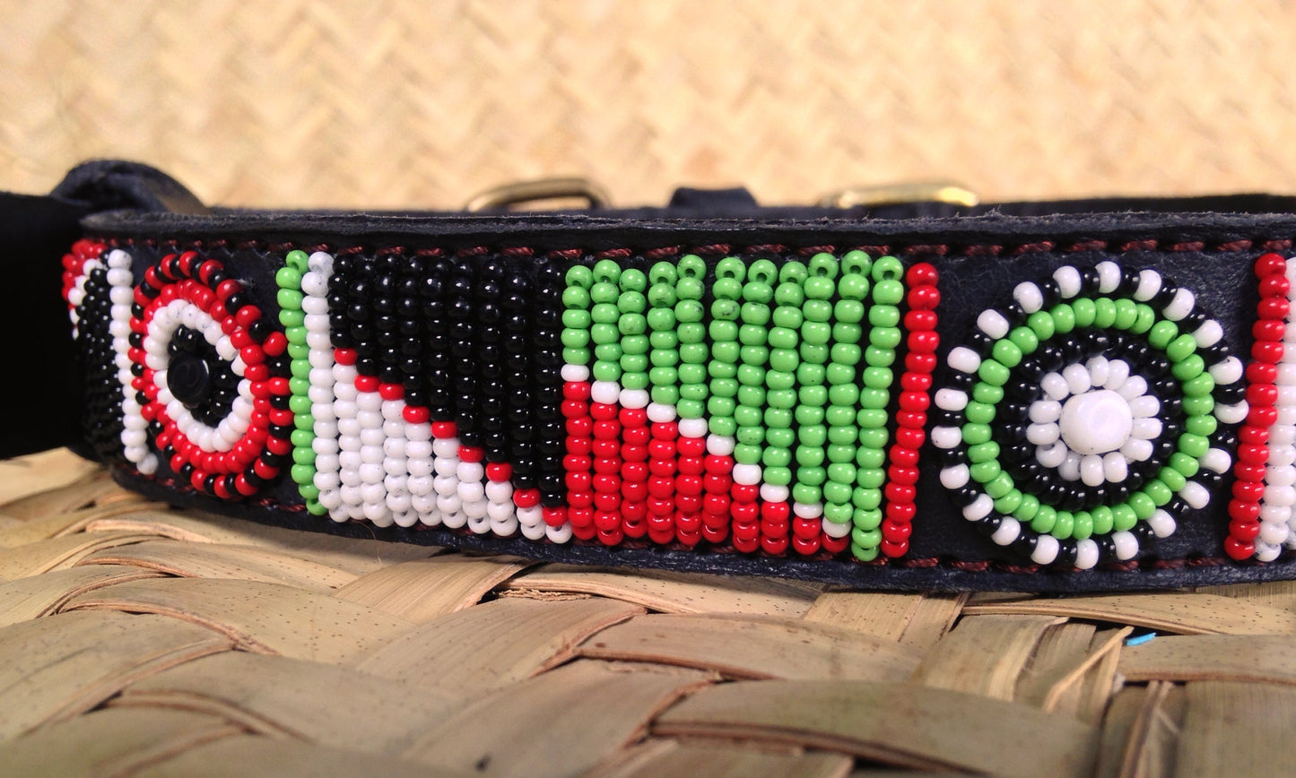 Handcrafted Maasai Dog Collar - Red Green Geometric