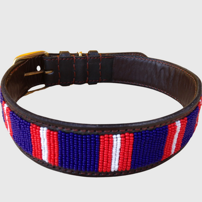 Handcrafted Maasai Dog Collar - Blue Red Stripes