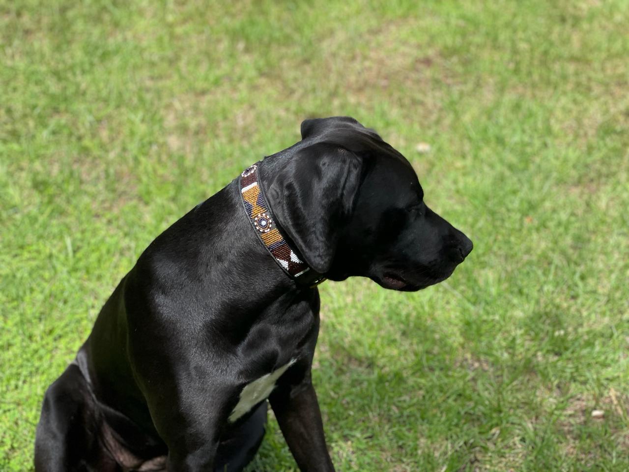 Handcrafted Maasai Dog Collar -Brown Gold Geometric