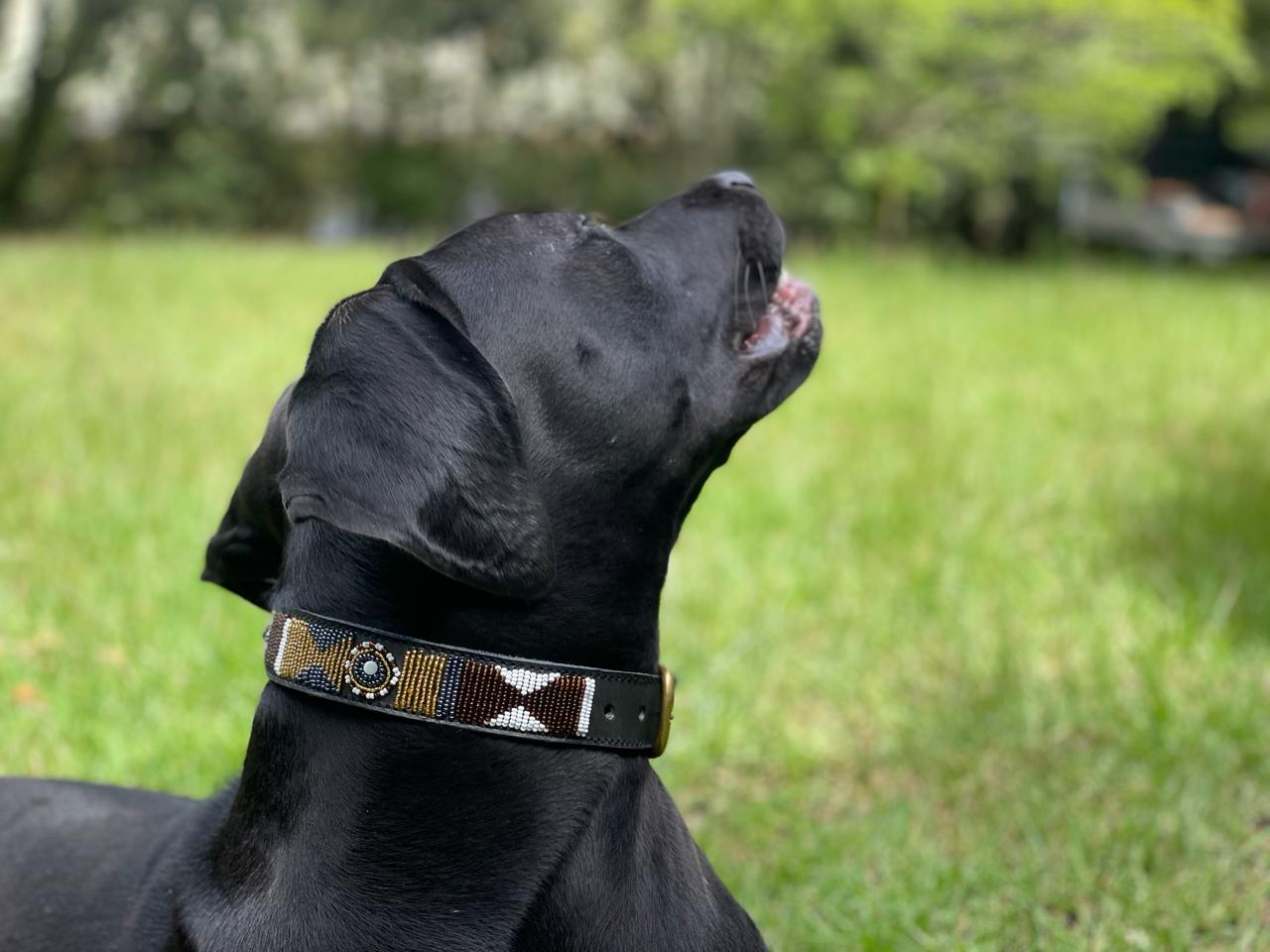 Handcrafted Maasai Dog Collar -Brown Gold Geometric