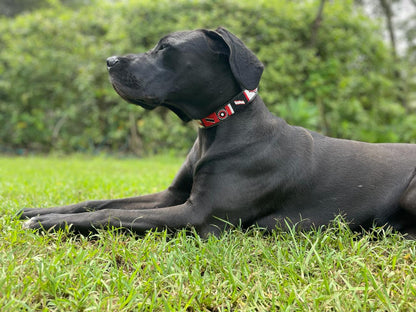 Handcrafted Maasai Dog Collar - Red White Geometric