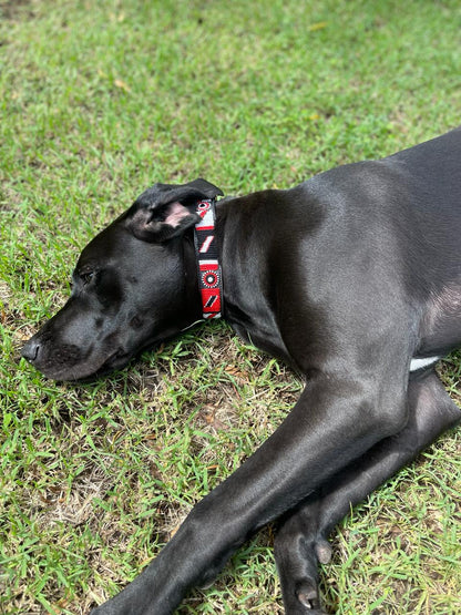 Handcrafted Maasai Dog Collar - Red White Geometric