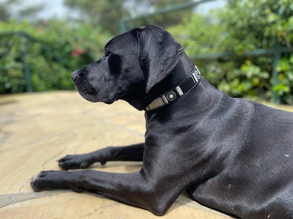 Handcrafted Maasai Dog Collar -Brown Silver Geometric