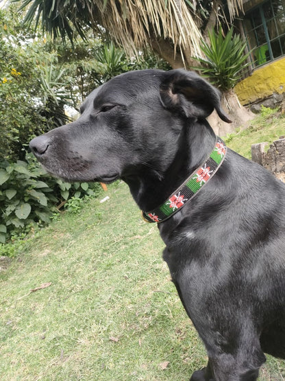 Handcrafted Maasai Dog Collar - Kenya Flag
