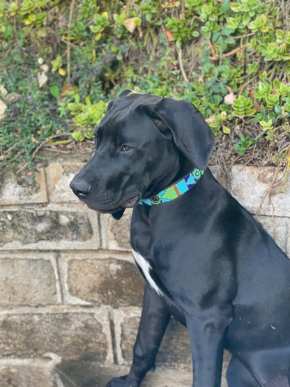 Handcrafted Maasai Dog Collar - Blue Green Geometric