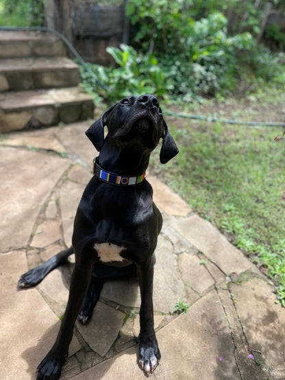 Handcrafted Maasai Dog Collar - Colorful Geometric