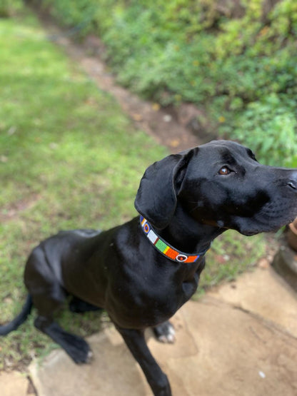 Handcrafted Maasai Dog Collar - Colorful Geometric