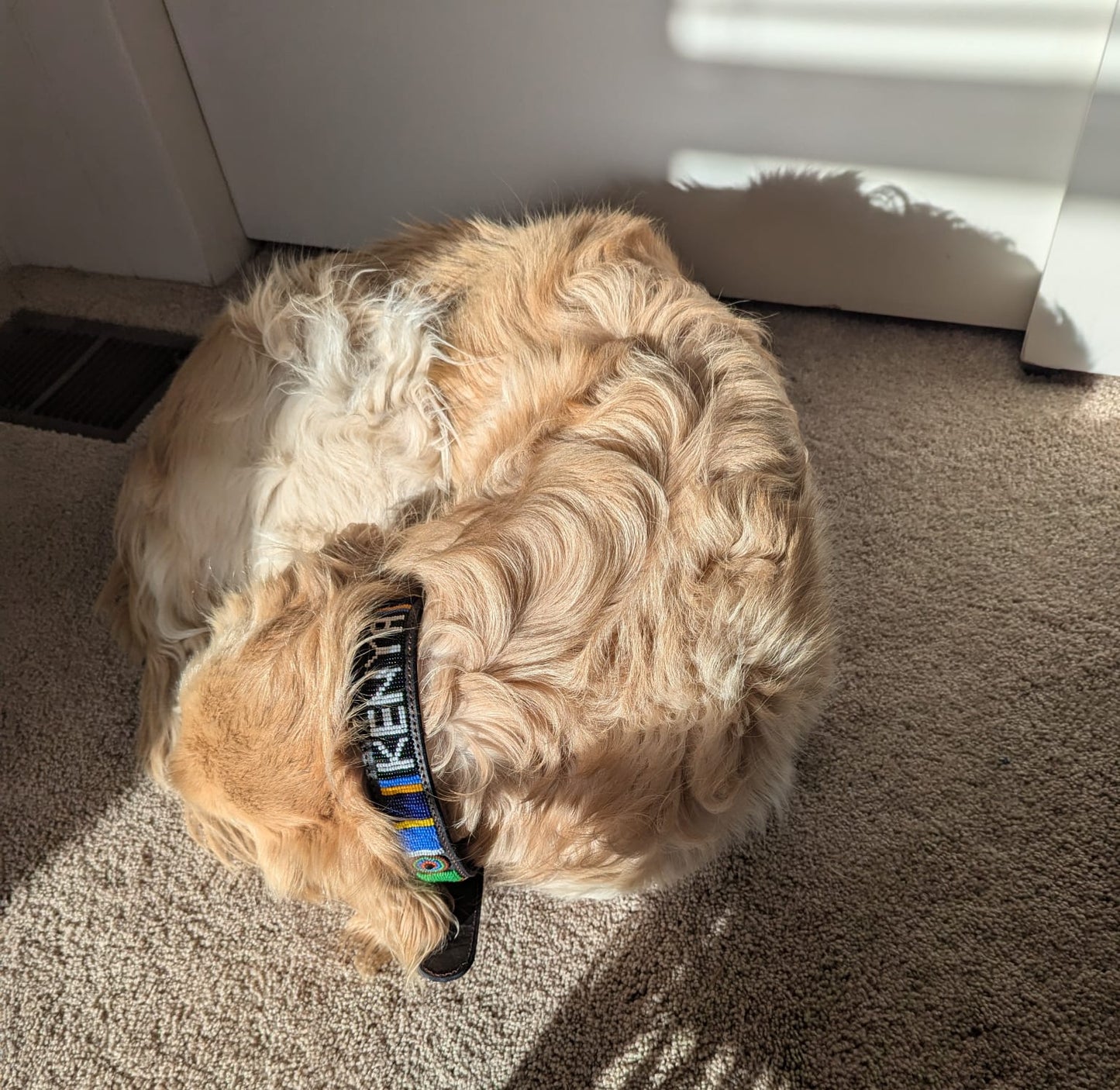 Handcrafted Maasai Dog Collar - Colorful Geometric