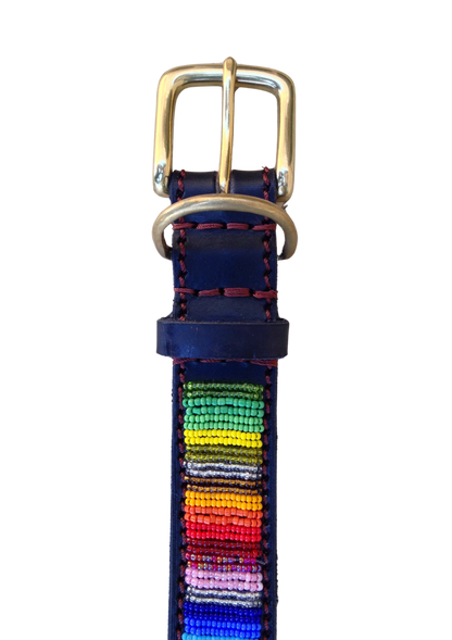 Handcrafted Maasai Dog Collar - Rainbow Stripes