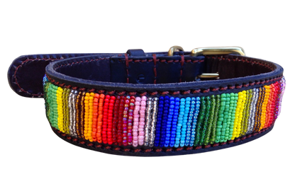 Handcrafted Maasai Dog Collar - Rainbow Stripes