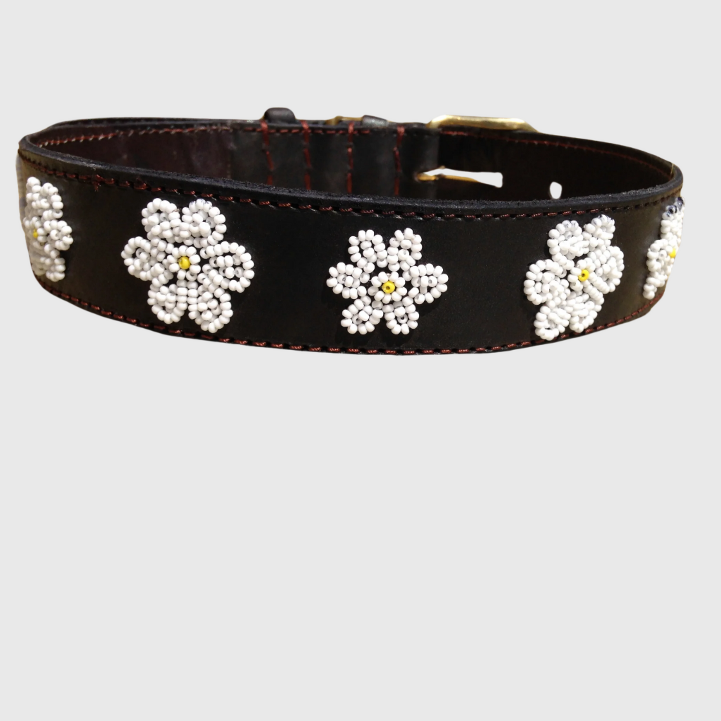 Handcrafted Maasai Dog Collar - White Floral