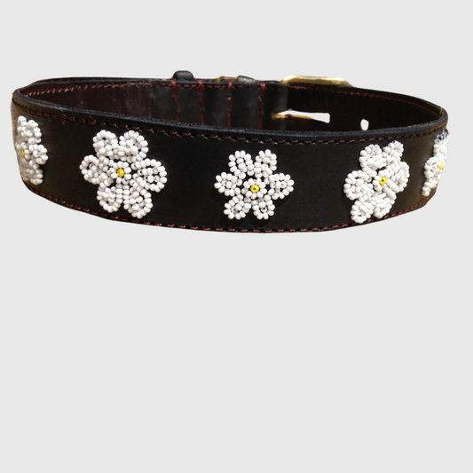 Handcrafted Maasai Dog Collar - White Floral