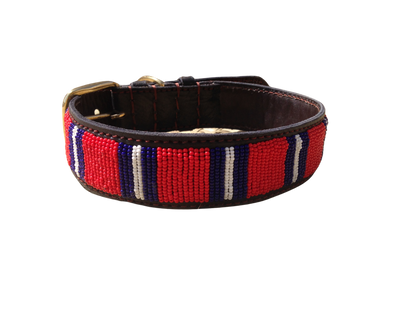 Handcrafted Maasai Dog Collar -  Red Blue Stripes