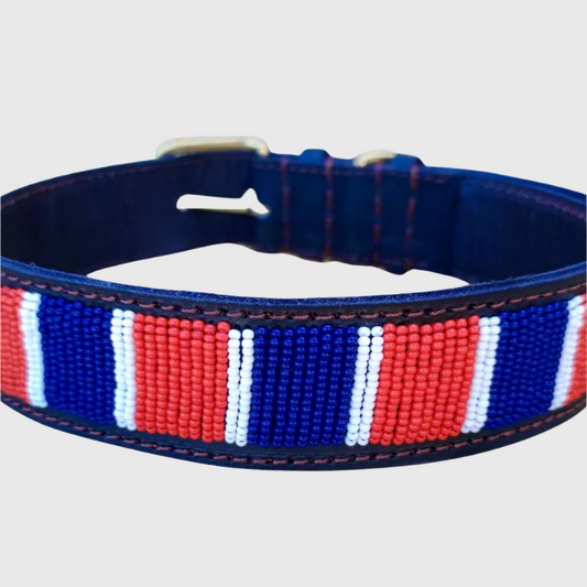 Handcrafted Maasai Dog Collar - Red Blue Stripes