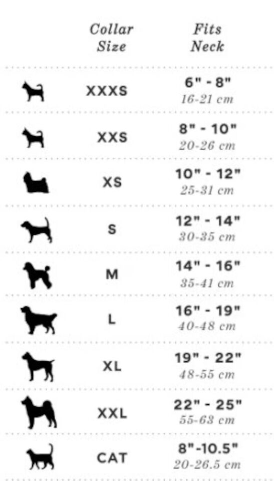 Handcrafted Maasai Dog Collar - Colorful Waves