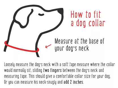 Handcrafted Maasai Dog Collar - Colorful Waves